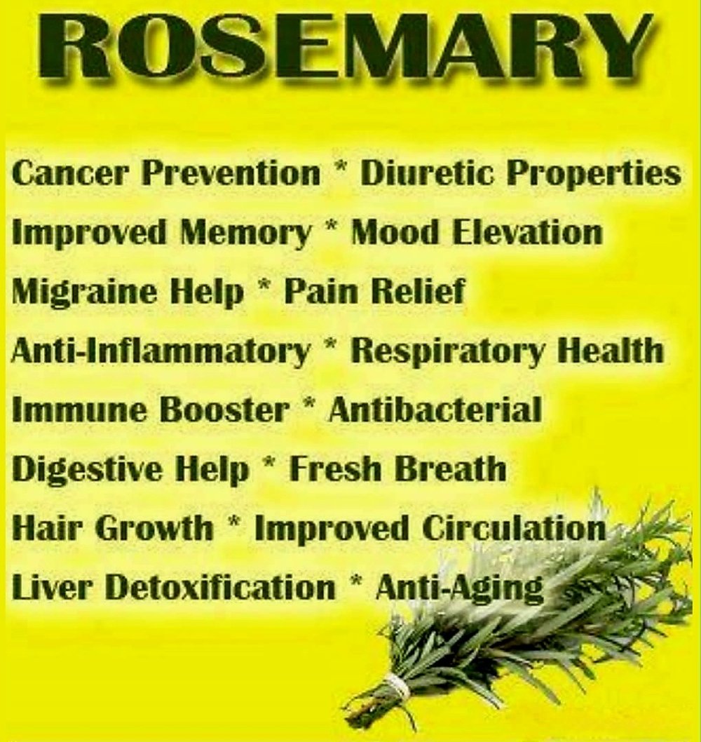 Rosey Mary Leaf Of Rosemary Tea. Sedative-Memory/Concentration-Pain-Immunity Booster-Circulation
