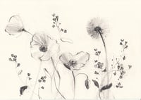 hedgerow no. 6