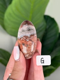 Image 7 of SMALL SANGRIA LACE AGATE SHIVAS