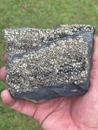 Image 2 of Shungite Specimen With Cubic Pyrite #606