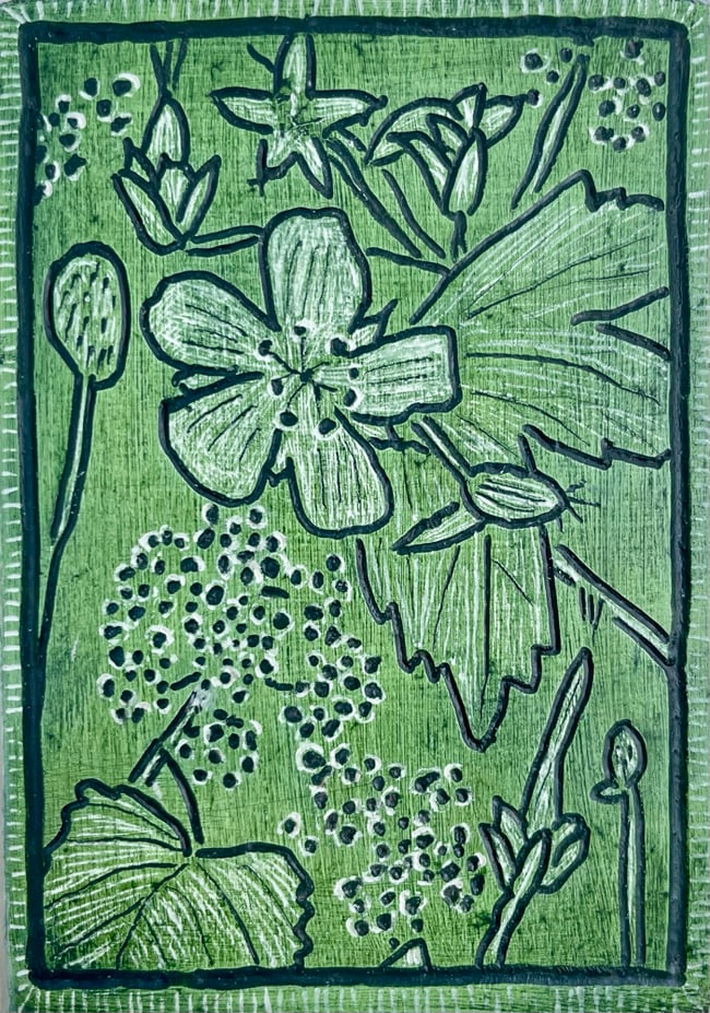 Geranium 