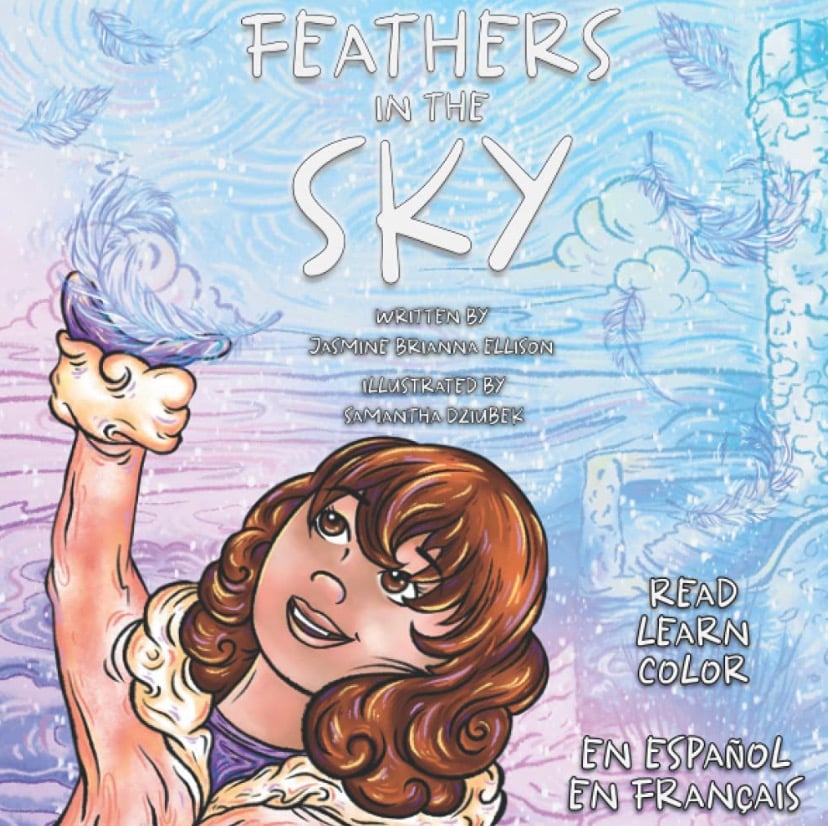 Image of Feathers in the Sky 