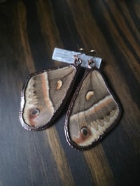 Image 3 of Cecropia Moth Wing Earrings