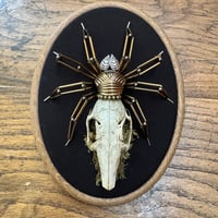 Image 1 of Rabbit skill spider (a, 5x7 inches)