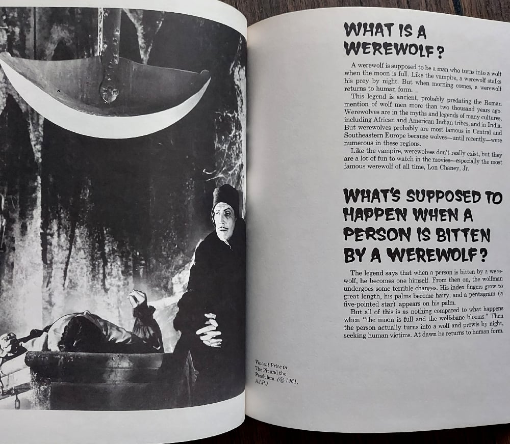 Things You've Always Wanted to Know About Monsters...But Were Afraid to Ask! by Tony Tallarico