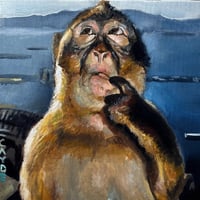 Monkey