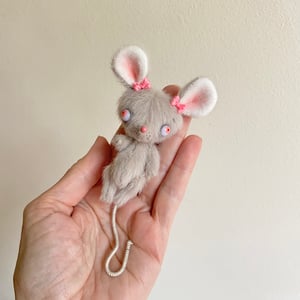 Image of Charlotte the Mouse