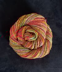Image 2 of Clementines Mini Skein