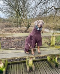 Image 1 of  FOUR LEGGED SUIT