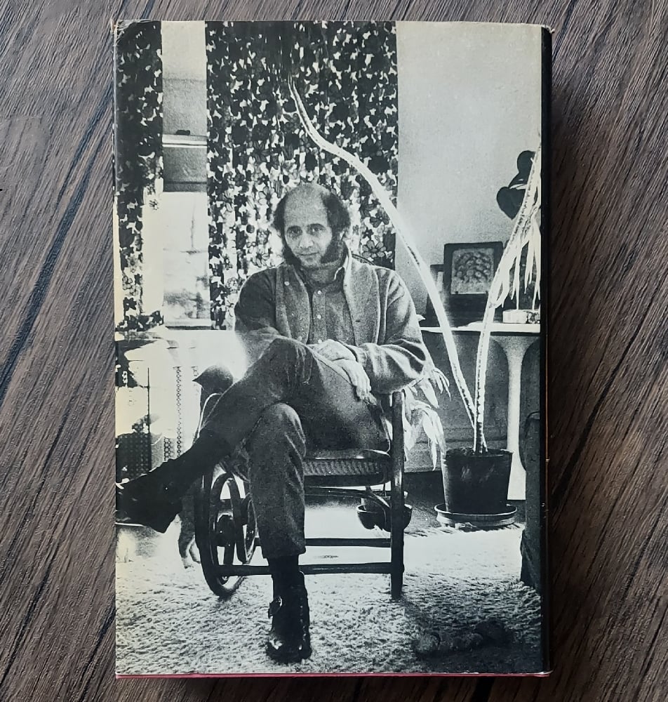 The Aesthetics of Pornography, by Peter Michelson