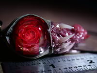 Image 2 of Twisted tongue pendant, Red Eye, ooak