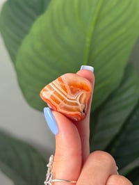 Image 1 of TUMBLED AGATE #39 -MALAWI-