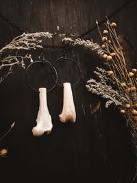 Image 3 of Spirals copy