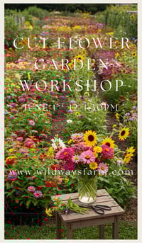 Cut Flower Garden Workshop