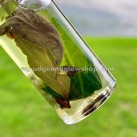 Image 4 of Money Attraction Oil 