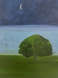 Image 3 of ‘Half Moon Over The Lake’ 