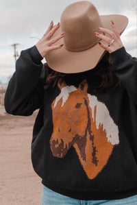 Image 1 of Pecos Palomino
