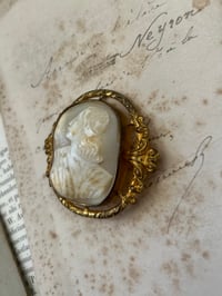 Image 8 of Magnifique camée en coquillage, 19eme siècle.Profil féminin, broche grande taille (4,7x5,5cm)