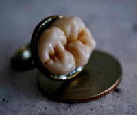 Image 2 of Hand sculpted adjustable Molar Ring, Tooth Ring. Dental Ring