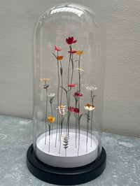 Image 1 of Jardin intérieur, fleurs sous cloche XL -3