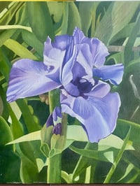 Image 3 of Purple Iris, Oil on Canva