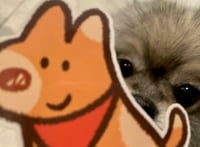 Image 2 of chow time! sticker