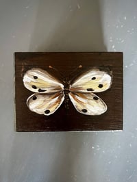 Image 4 of Caja marrón con mariposa 
