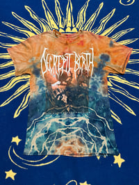 DECREPIT BIRTH / DIMINISHING BETWEEN WORLDS