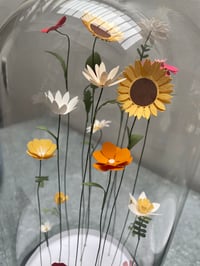 Image 4 of Jardin intérieur, fleurs sous cloche XL -1