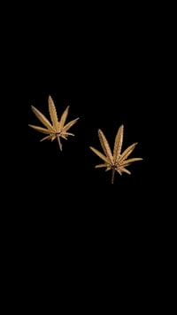 Image 1 of Weed Leaf Stud Earrings 