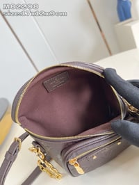 Image 14 of LV Mini Bumbag