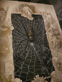 Image 2 of  Orbweaver taxidermy spider with 1800 Bible Page & Real Web