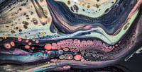 Image 5 of VINYL XXIV (-40%)