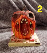 Image 2 of Pumpkin Pals! 