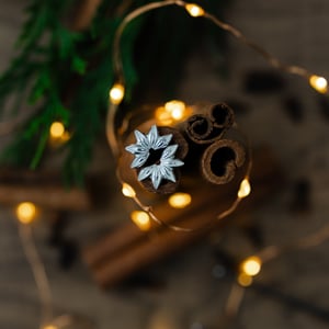 Image of Star Anise Earrings