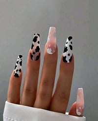 24pc Cow Print Nails 