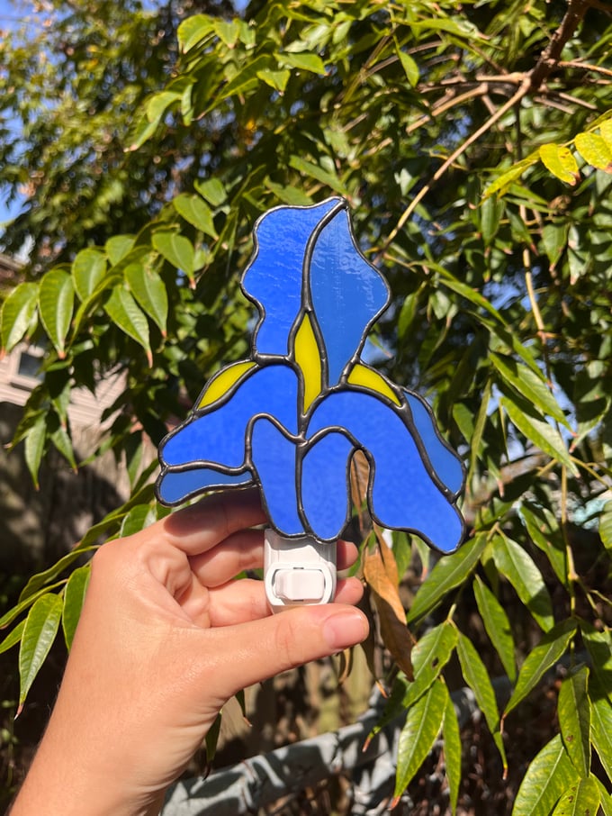 Image of Blue Iris Nightlight 