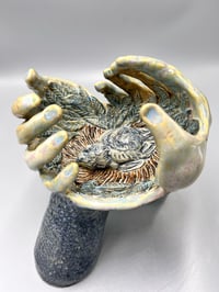 Image 8 of Compassion- Elizabeth Paxson