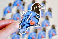 Image 4 of Harlequin & Bufflehead Duck Stickers