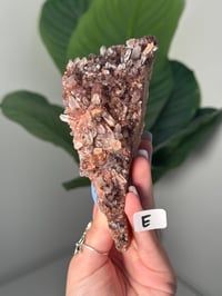Image 7 of SUNSET PHANTOM QUARTZ -INDIA- LOT 1