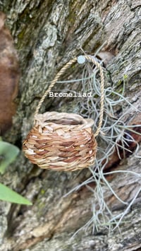 Image 1 of Fairy baskets