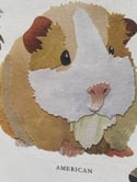Rocket & Co. - Guinea Pig Breeds tea towel
