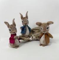 Image 1 of Peter rabbit and friends 