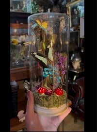 Image 1 of Make your own Terrarium Workshop Thurs 25th June 5.30-9.30pm
