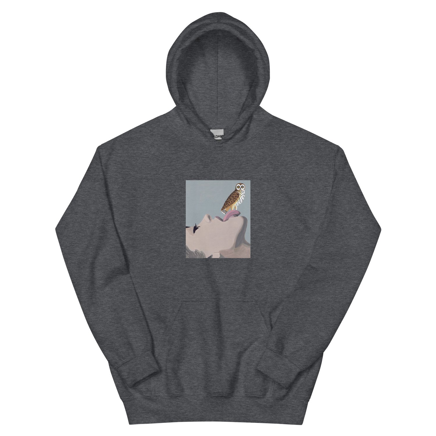Image of THE OWL HOODIE 