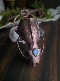 Image 6 of Mink Skull with Moonstone