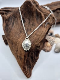 Image 1 of Scottish limpet shell pendant necklace