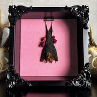 Image 1 of pink hanging bat