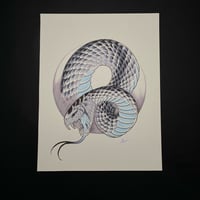 Image 2 of Snake marker drawing 