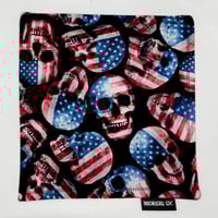 Image 2 of Abstract - American Skulls